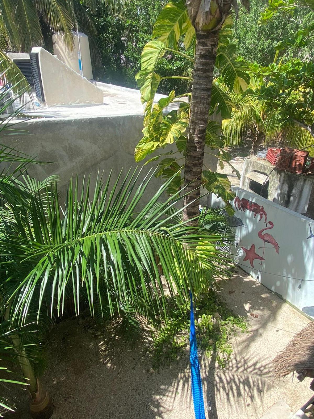 Hotel Pelecanus Suites Holbox Luaran gambar