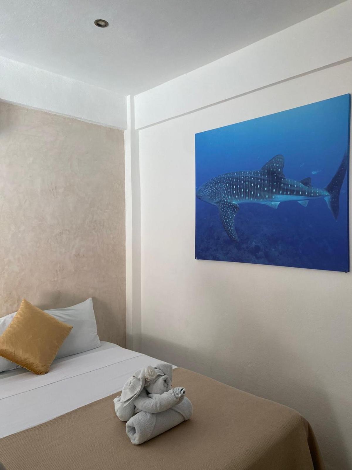 Hotel Pelecanus Suites Holbox Luaran gambar