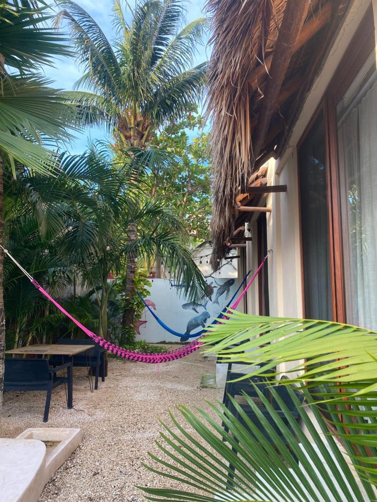 Hotel Pelecanus Suites Holbox Luaran gambar
