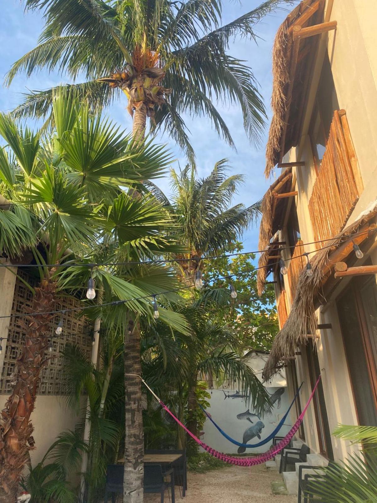 Hotel Pelecanus Suites Holbox Luaran gambar